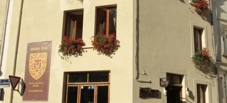 金狮住宿加早餐旅馆(Golden Lion)图片