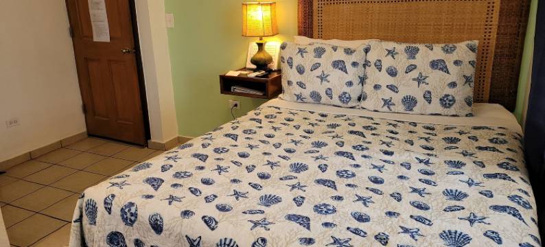 珊瑚别墅旅馆(Villa Coral Guesthouse)图片