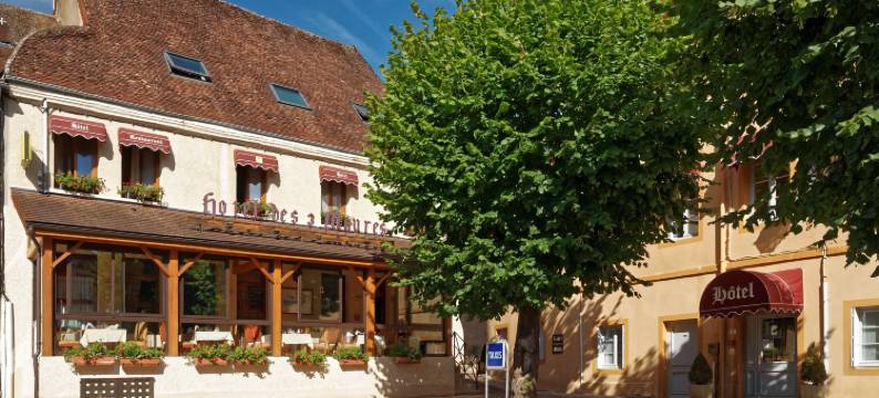 国际之家托阿毛拉(Logis des Trois Maures)图片