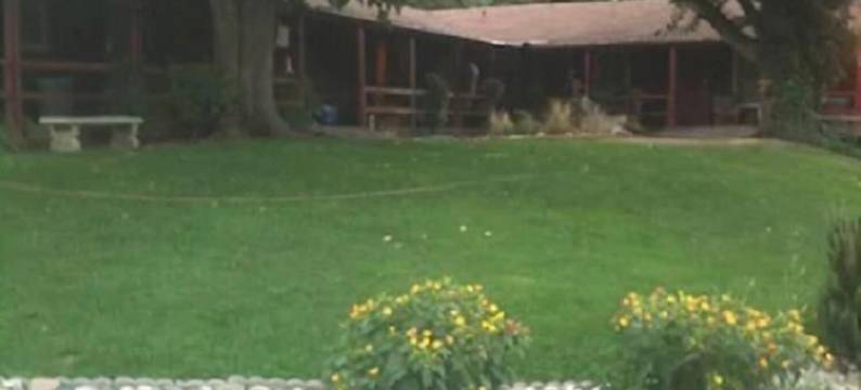 河景小屋(Riverview Lodge)图片