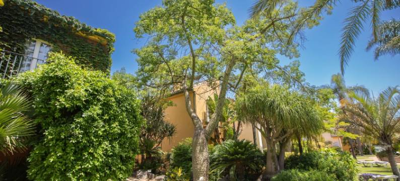 维斯塔尔莫萨苏活精品公寓(Apartamentos Soho Boutique Vistahermosa)图片