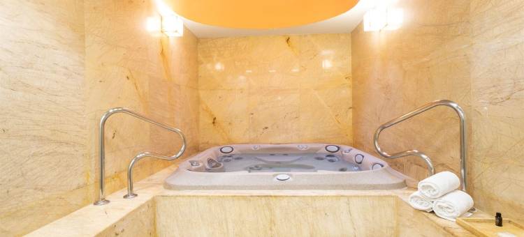 蒙特雷卡米诺里尔酒店(Camino Real Monterrey)图片