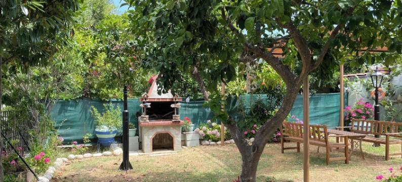 德尔菲尼亚开间(Delfinia Studios)图片