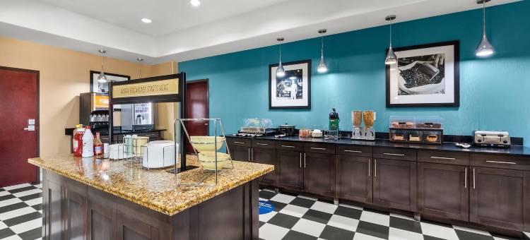 皮尔索尔的品质套房酒店(Quality Inn & Suites Pearsall)图片