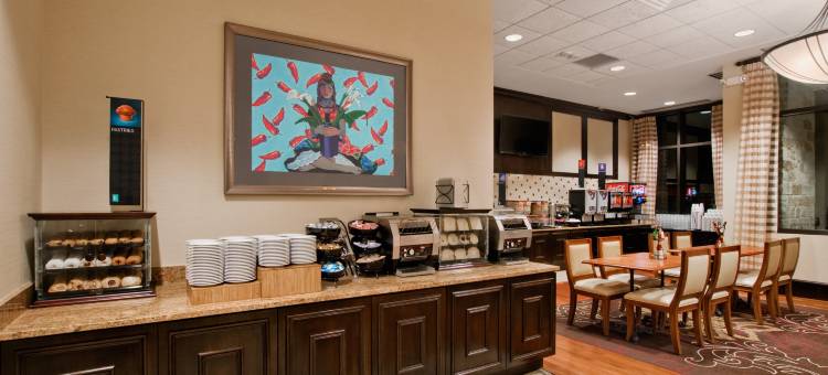 圣安东尼奥河滨步道市区安泊套房酒店(Embassy Suites by Hilton San Antonio Riverwalk Downtown)图片