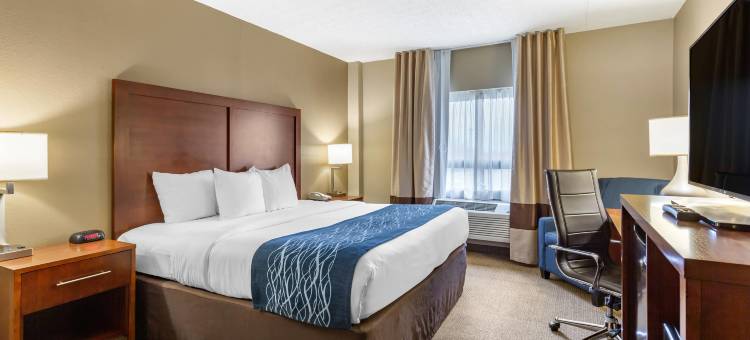 马丁斯堡舒适酒店(Comfort Inn Aikens Center)图片