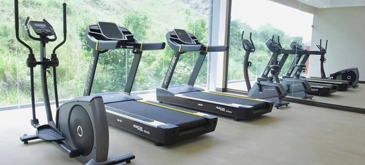 阿贝普拉地平线酒店(Horison Abepura)图片