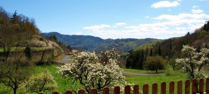 Cozy Countryside Escape in Auvergne图片