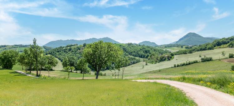 Country escape in Matelica图片