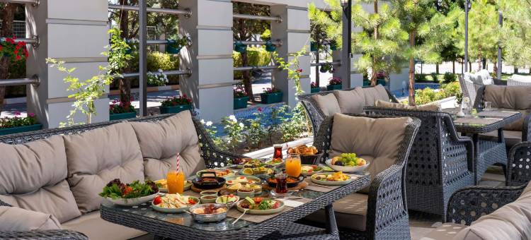 开塞利诺富特酒店(Novotel Kayseri)图片
