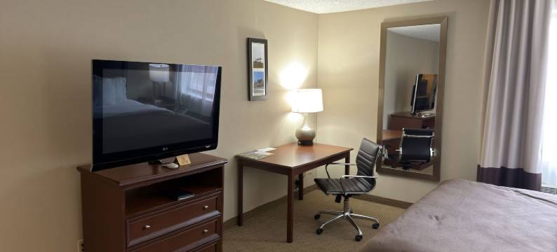 乌蒂卡蔚景温德姆酒店(Wingate by Wyndham Utica)图片