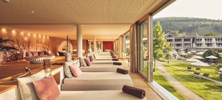 戴曼酒店(Hotel Deimann)图片