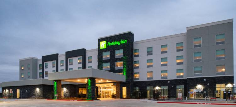 洲际假日酒店沃斯堡 - 联盟(Holiday Inn FORT WORTH - ALLIANCE by IHG)图片