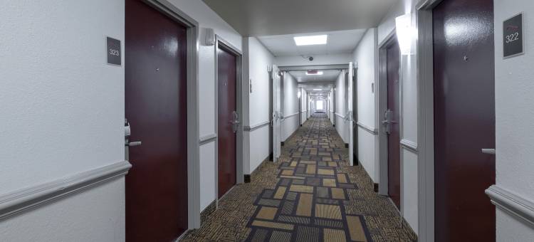 红屋顶客栈罗利-北克拉布特里购物中心-联想中心(Red Roof Inn Raleigh - North-Crabtree Mall/Lenovo Center)图片