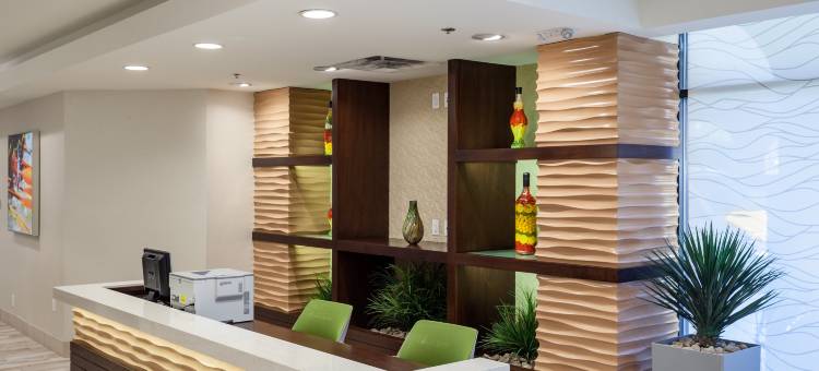 奥斯汀镇湖假日酒店(Holiday Inn Austin -Town Lake)图片