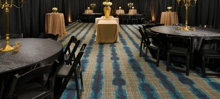 南普拉特维尔智选假日套房酒店(Holiday Inn Express & Suites Waco South)图片