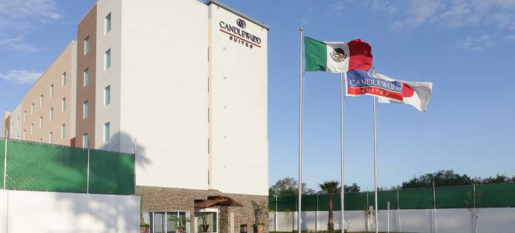 Candlewood Suites酒店-塞拉亚(Candlewood Suites Celaya)图片