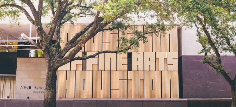 洲际Staybridge Suites休斯敦市中心酒店(Staybridge Suites Houston Downtown by IHG)图片