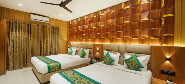 Treebo 冰山(Treebo Iceberg)图片