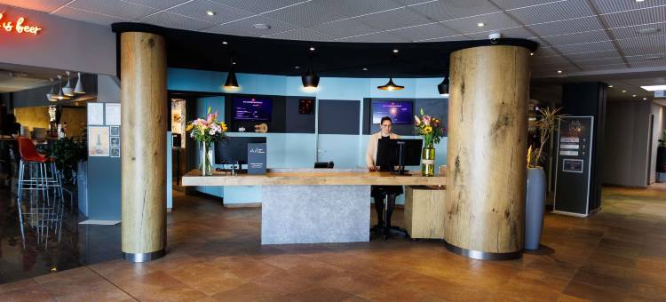 宜必思戛纳曼得里尔酒店(Ibis Cannes Mandelieu)图片