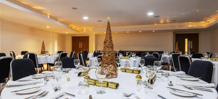 丽笙蓝标酒店-布里斯托尔(Radisson Blu Hotel, Bristol)图片