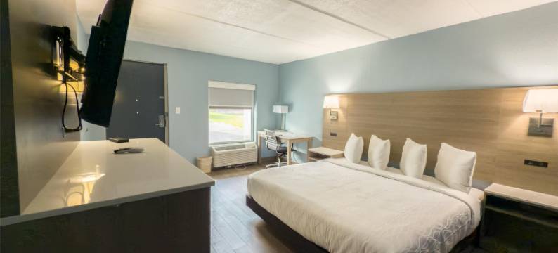 杰克逊维尔机场贝斯特韦斯特舒尔住宿酒店(Jax Airport Hotel)图片