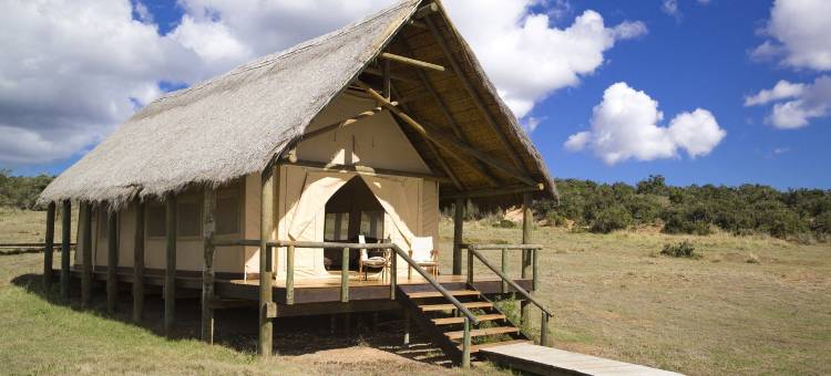 戈拉大象营酒店(Gorah Elephant Camp)图片