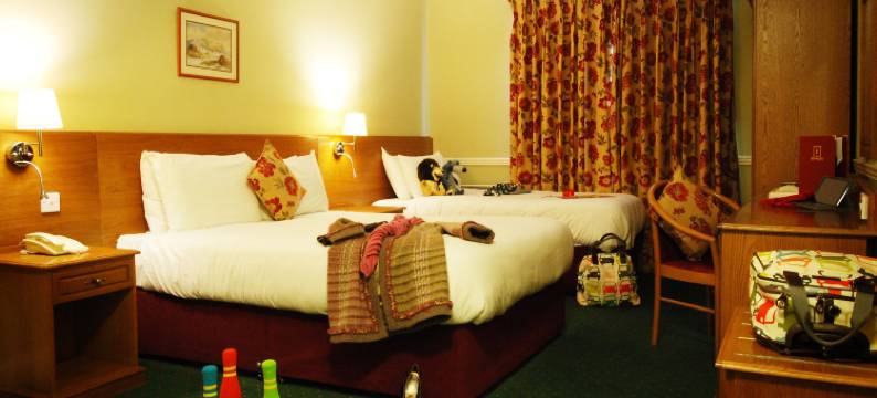 垂利贝纳斯酒店(Tralee Benners Hotel)图片