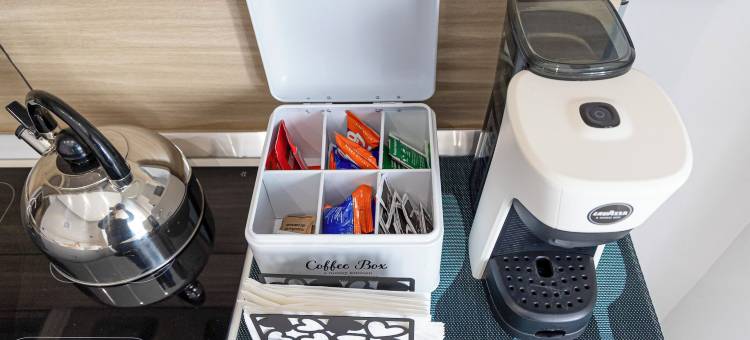 特雷姆之家(House le Treemme)图片