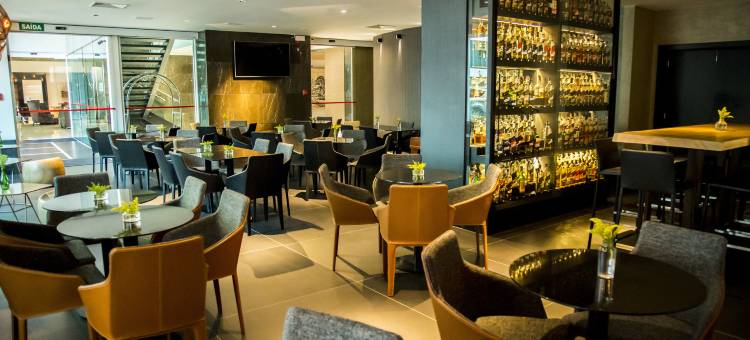 乌贝蓝迪亚购物广场美居酒店(Mercure Uberlandia Plaza Shopping)图片