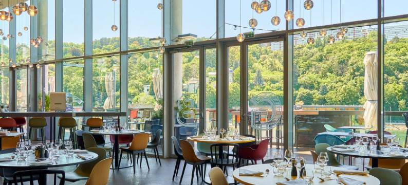 里昂中心索恩汇合诺富特酒店(Novotel Lyon Centre Confluence Bord de Saone)图片