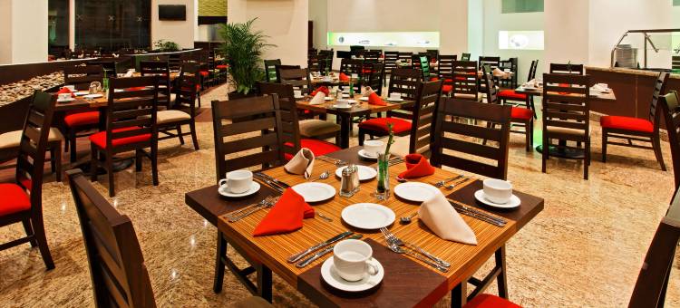 Holiday Inn 墨西哥城大学广场(Holiday Inn Mexico City-Plaza Universidad)图片