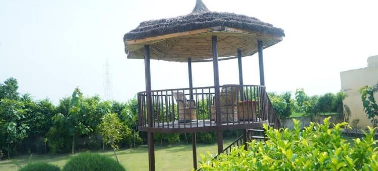 萨玛利亚农业度假村弗林达文(Samalia Agro Resort Vrindavan)图片