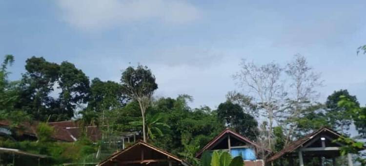 梅诺雷农场民宿萨米加卢库隆普罗戈(Menoreh Farm Stay Samigaluh Kulonprogo)图片