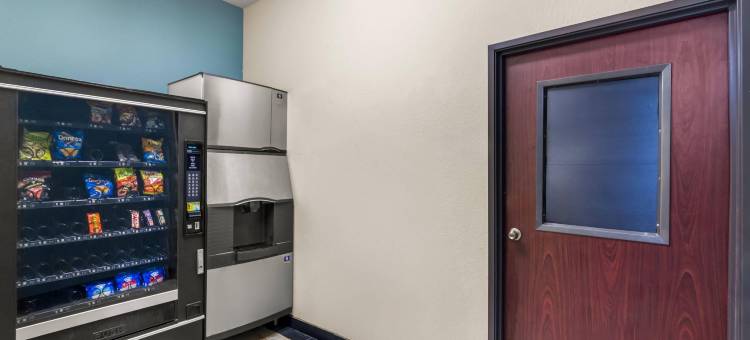 马林品质酒店及套房(Quality Inn & Suites - Marlin)图片