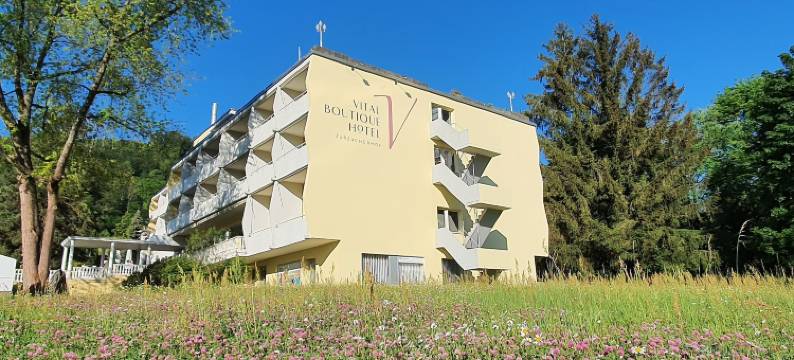 楚尔察赫霍夫酒店(VitalBoutique Hotel Zurzacherhof)图片