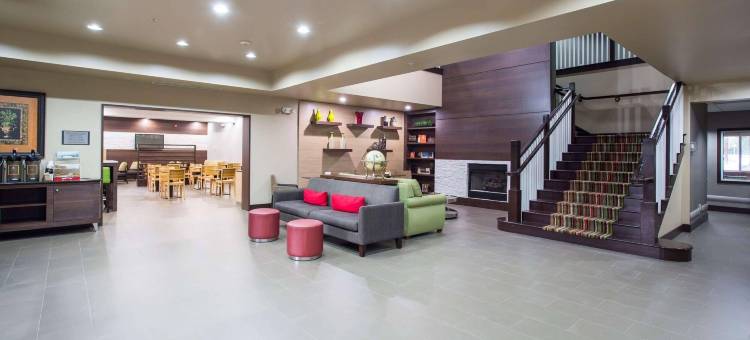 盖恩斯维尔丽怡酒店(Country Inn & Suites by Radisson, Gainesville, FL)图片