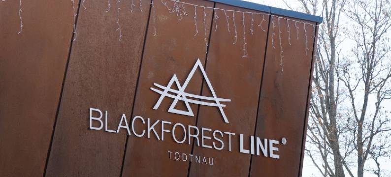 托特瑙山活酒店(Bergvital Hotel Todtnau)图片