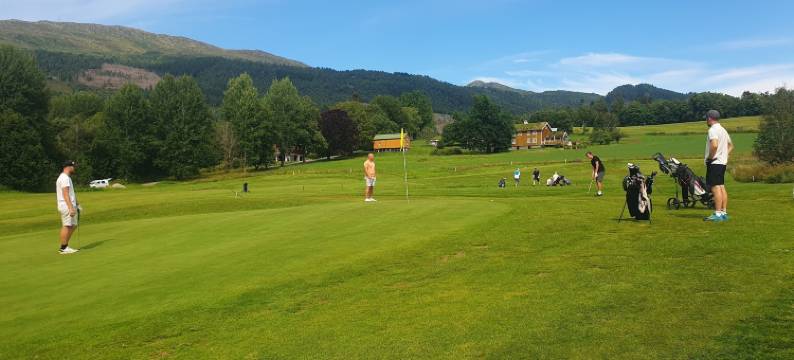 托恩华索格酒店(Frich´s Hotel Surnadal)图片