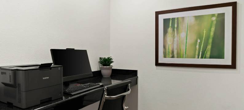 萨吉诺北舒适套房酒店(Comfort Suites- Saginaw)图片