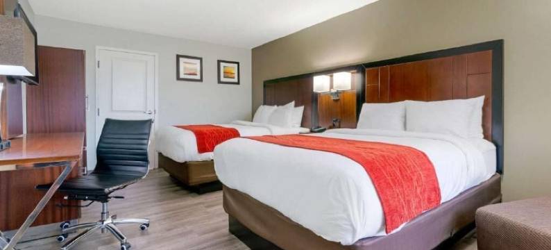 舒适酒店(Comfort Inn)图片