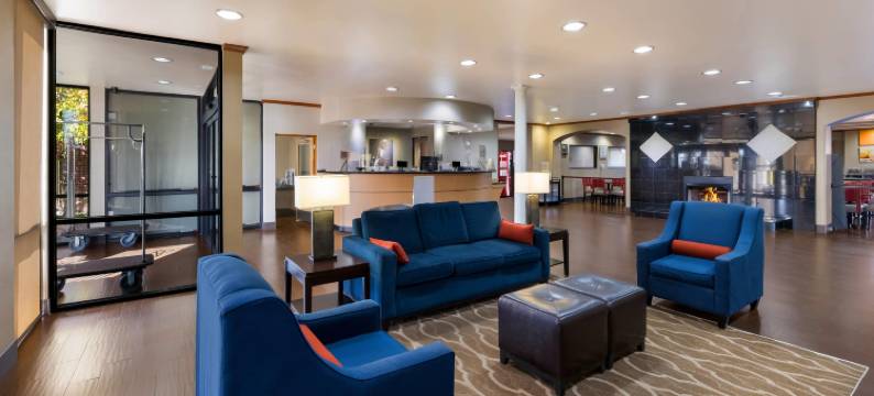 舒适套房酒店-埃尔帕索西(Comfort Suites El Paso West)图片