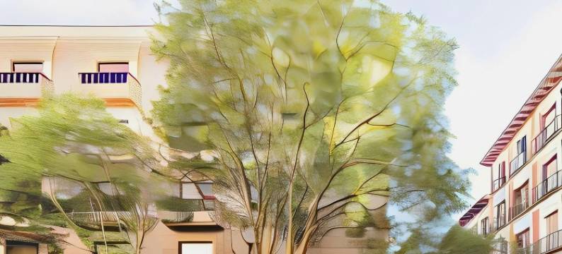 拉拉提纳L&H酒店(L&H la Latina Selection)图片