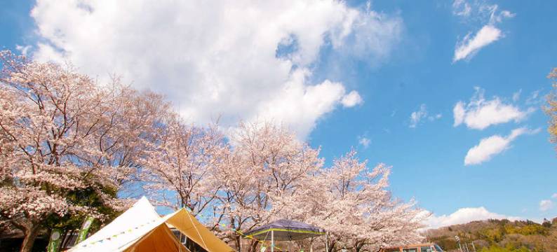 Tokitama Himitsukichi Comoriver图片