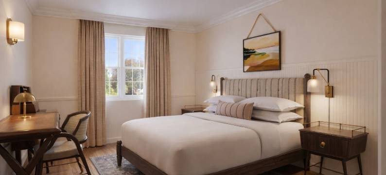 维京酒店(Hotel Viking)图片