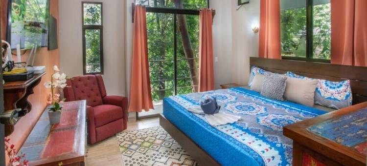 卡萨德尔阿布罗树屋(限成人)(Hotel Casa del Arbol Manuel Antonio - Adults Only)图片