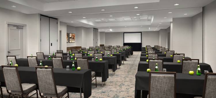 达拉斯李维斯维尔希尔顿花园酒店(Hilton Garden Inn Dallas Lewisville)图片