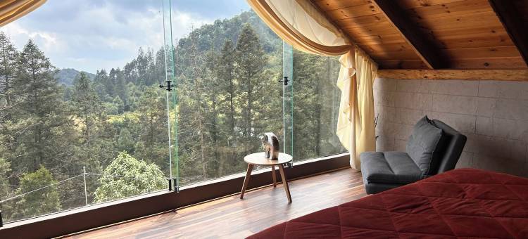 Meraki 小屋和豪华露营，由GEstores管理(Meraki Cabañas & Glamping By GEstores)图片