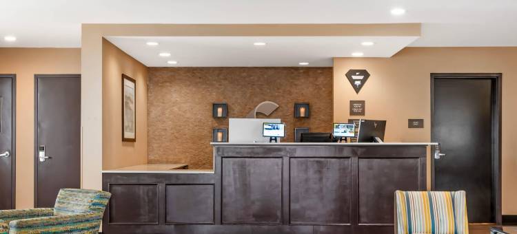 舒适酒店及套房-机场北(Comfort Inn & Suites Airport North)图片