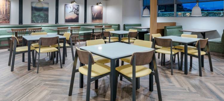 艾伯特维尔万枫酒店及套房(Fairfield Inn & Suites Albertville)图片